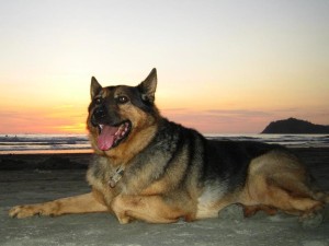 bandibeach